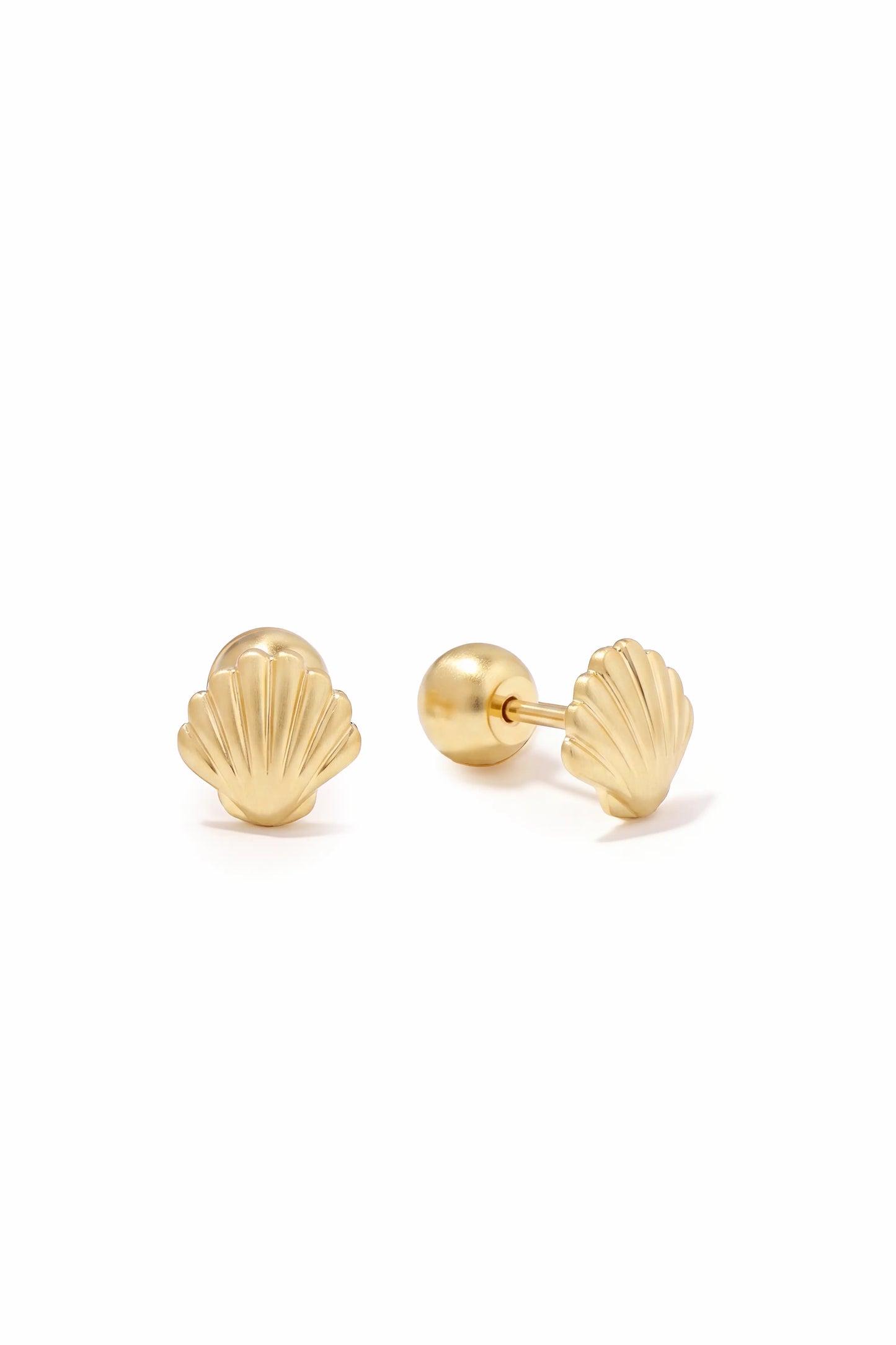 Shell Stud